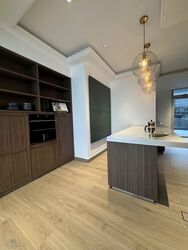 The Solitaire (D10), Condominium #578516821